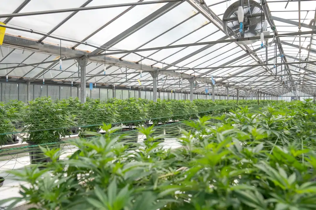 串口服务器与工业交换机在工厂数据采集中的协同应用解析