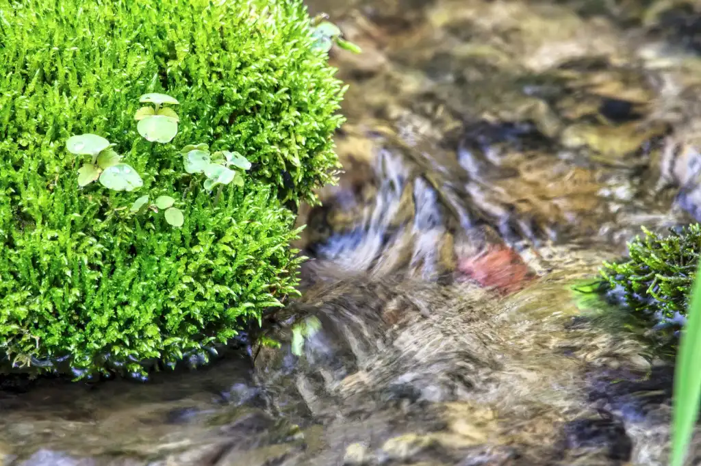 光纤收发器与工业交换机选型指南：保障园区数据稳定传输